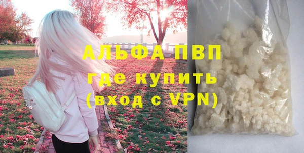 гашик Белоозёрский