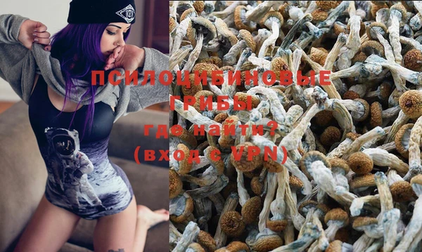 гашик Белоозёрский