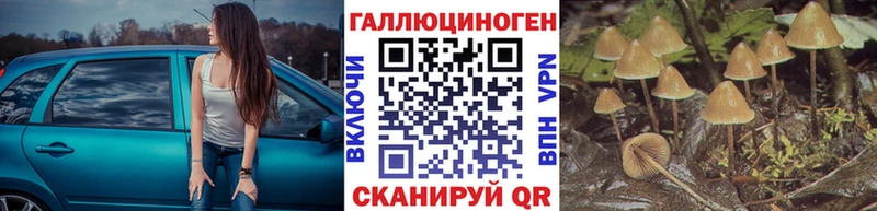 Галлюциногенные грибы Magic Shrooms маркетплейс Telegram Скопин